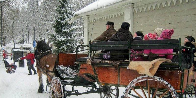 Koko perheen laskiaisrieha